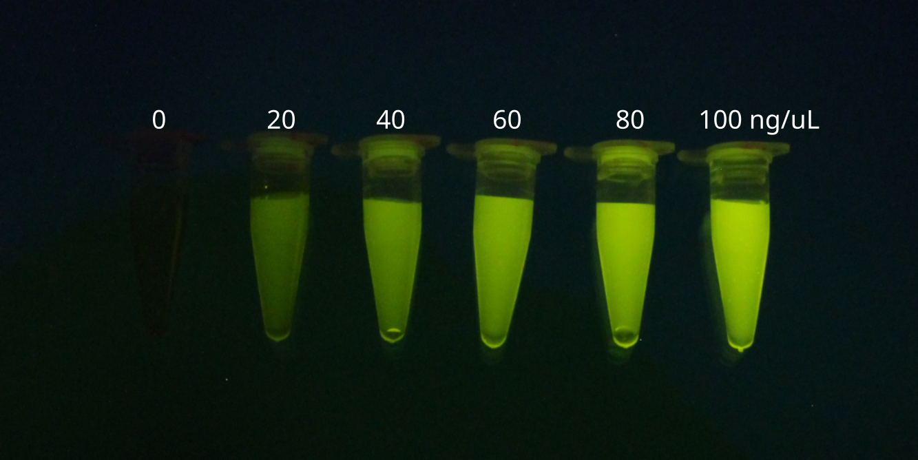 DNA Quantitation with the Open Colorimeter Plus