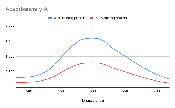 Measuring proteins with the Bradford assay