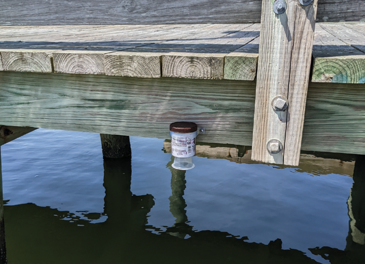 Coastal Science and a Low-Cost, DIY Ultrasonic Water Level Sensor
